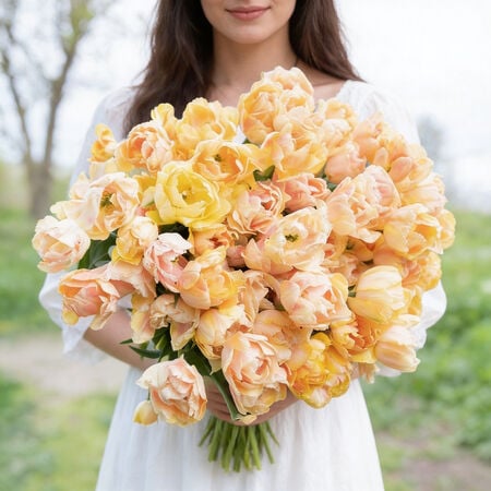 Foxy Foxtrot, Tulip - 10 Bulbs image number null